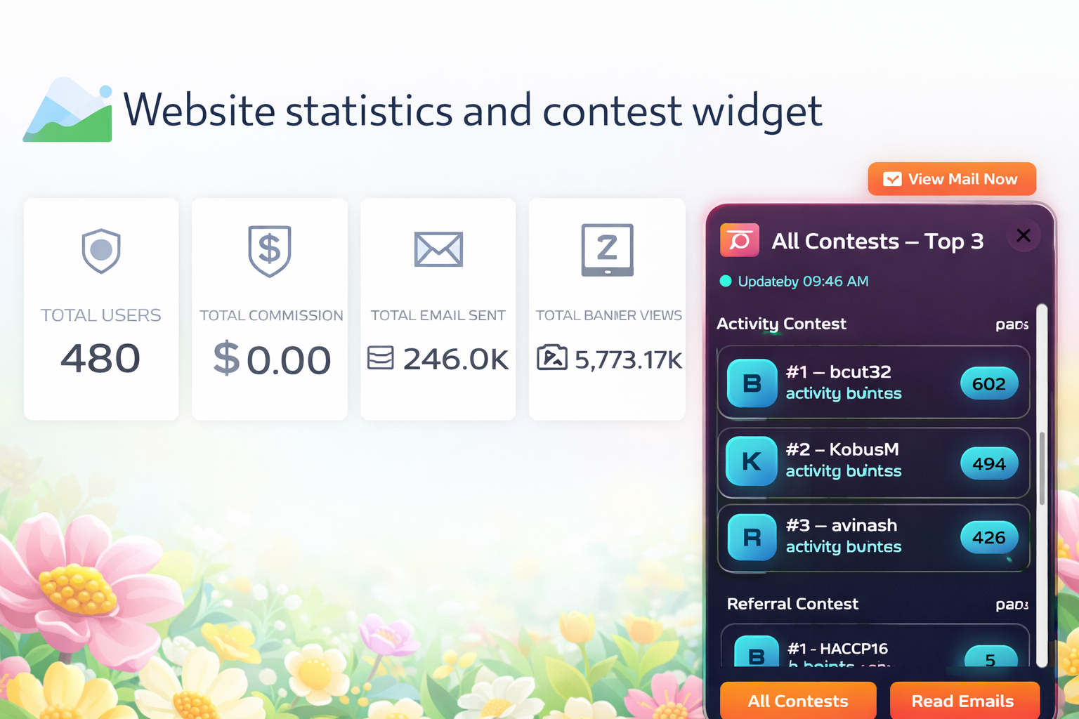 Website stats and contest widget